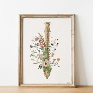 Spine flower art - Anatomical Spine - FloralArt - Anatomy Wall Art - Chiropractor Gift - therapist gift - Office Wall Art - SKA141