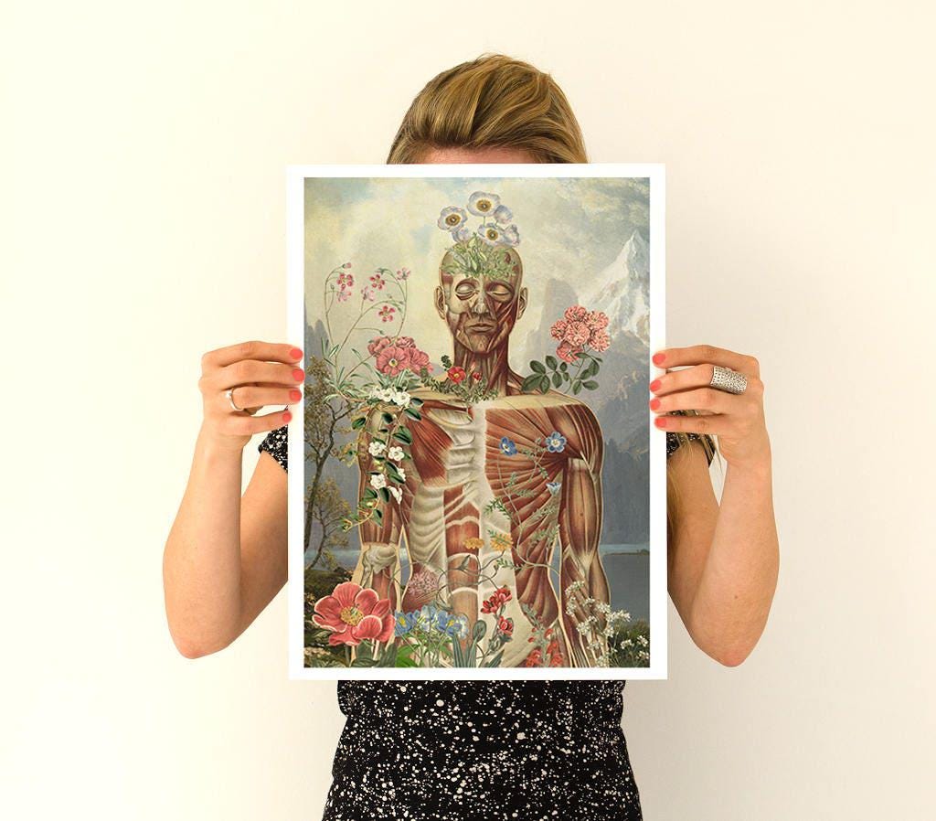 Muscular System Anatomy Art Print: Yoga, Physical Therapy Poster - Etsy