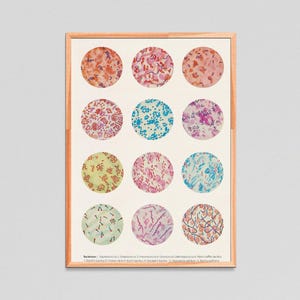 Microbiology poster, Bacteria Collection, Science Art, Science student gift, microbiology, biology art, science decor, science gift, SKA269