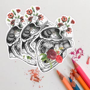 Sticker pack - gift for her - Skull Stickers - Laptop Decal - Anatomy Gifts - Medical Anatomy Sticker - Sticker Bundle - Flower sticker pack