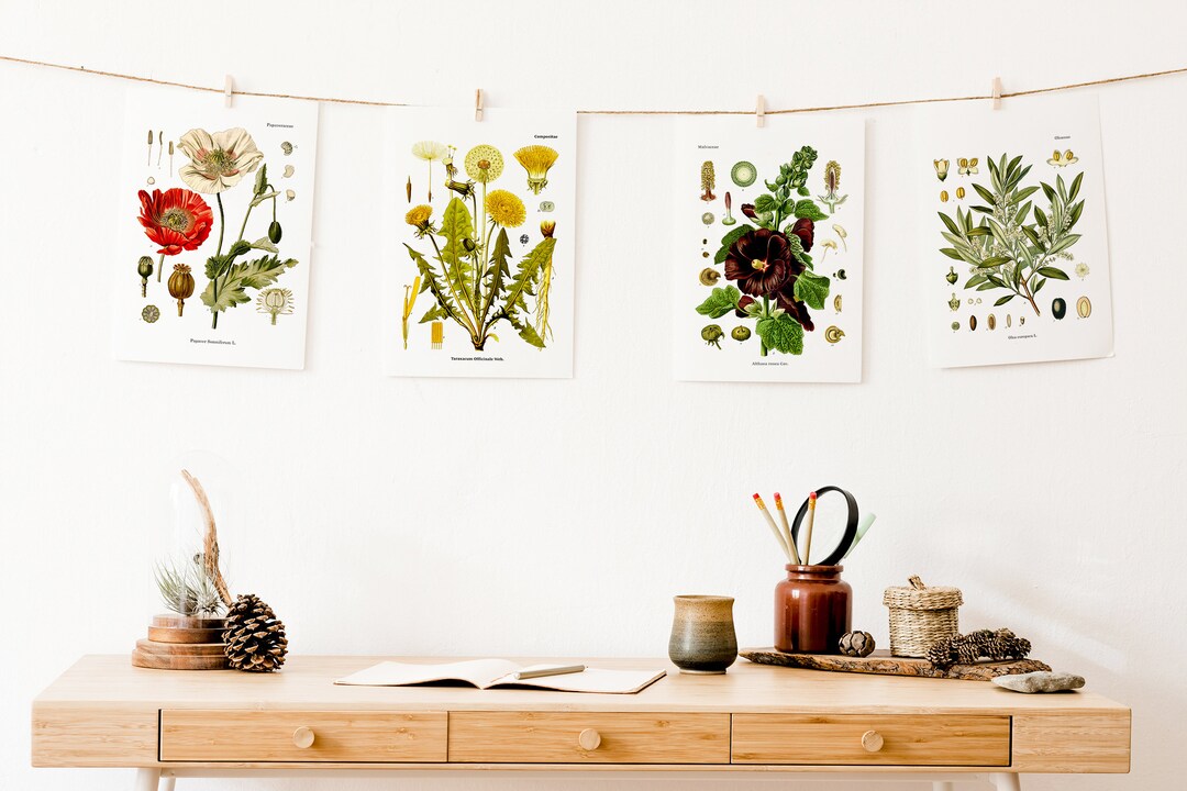 Vintage Botanical Print Set | Scientific Illustration Art Print ...