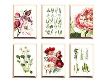 Pink Peony Botanical Note Cards: Floral Thank You Cards, Set of 6 Botanic stationery Gift, Ferns and Flowers Cards