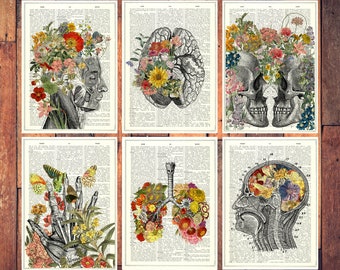Doktorgeschenk - Dankeskarte - Geschenkidee - Anatomische Postkarten - Blumenanatomie - Blumengehirn - Medizinisches Geschenk - PSC021