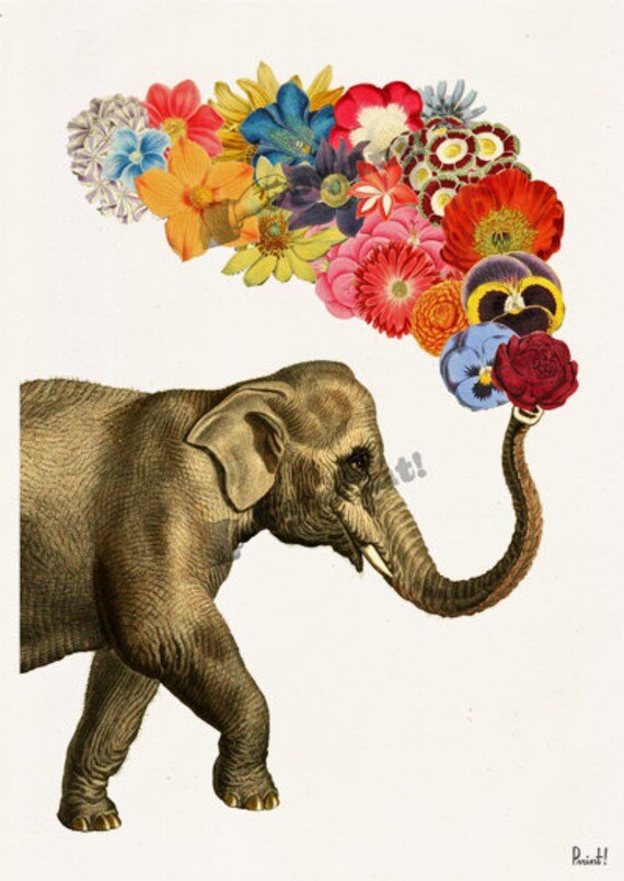 Elephant With Flowers Bilscreen