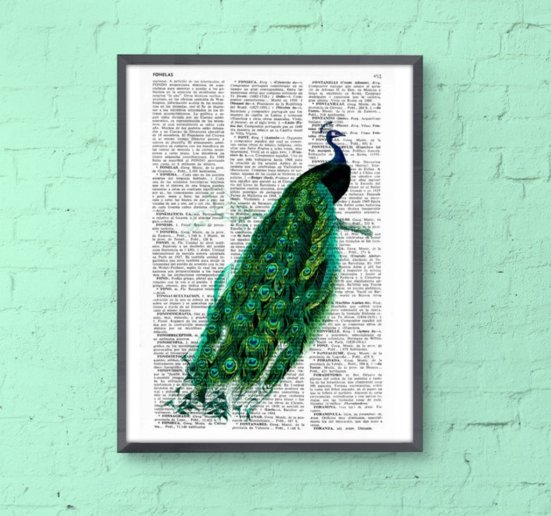 Original Art, Beautiful Peacock illustration printed on vintage book page, perfect for gifts, Classical Bird illustration Wall art, ANI148 image 3