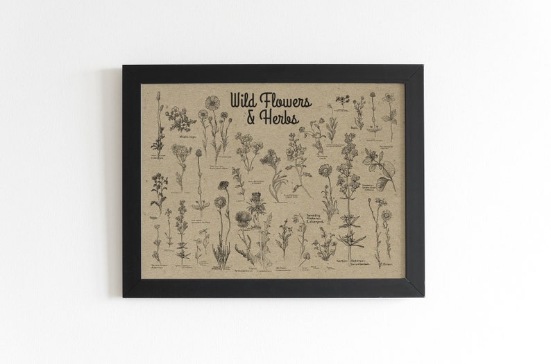 Vintage Wildflower Chart Print | Dark Academia Herbarium Poster image 3