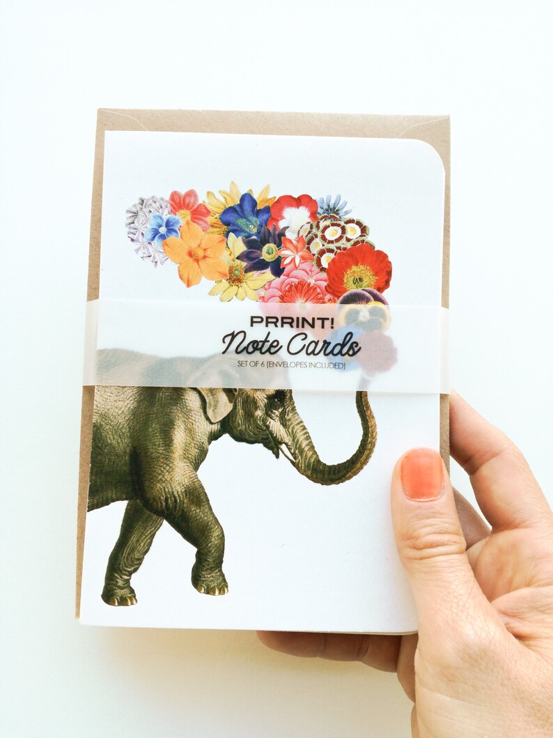 Funny Animal Cards Set Of 6 Animal Greeting Cards Folded Etsy