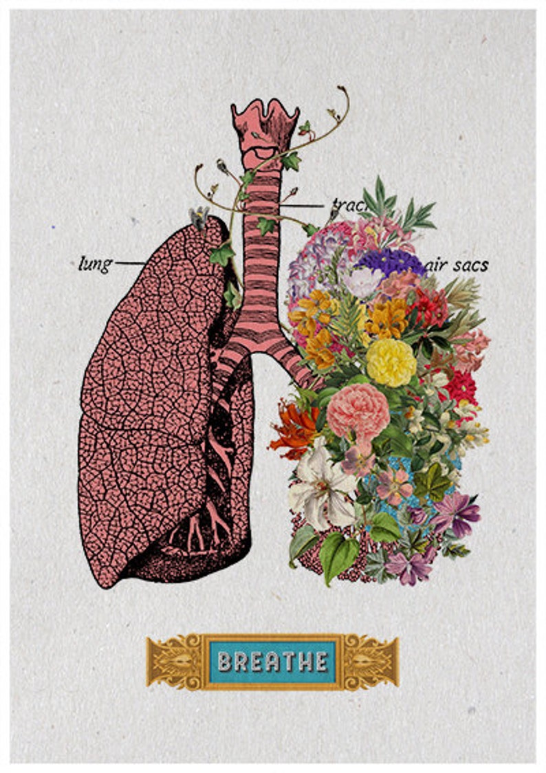Wall Art Breathe Anatomical Human Lungs Poster Anatomical Etsy