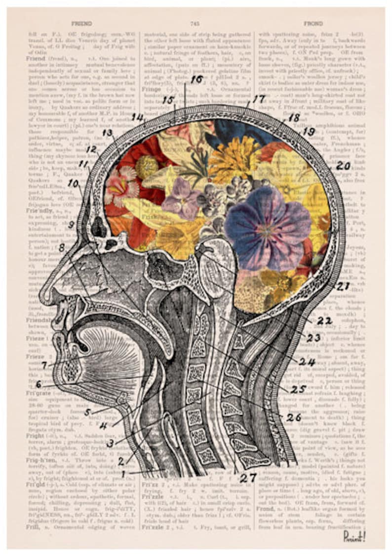 Brain Anatomy Art Flower Anatomy Print Botanical Anatomy ...