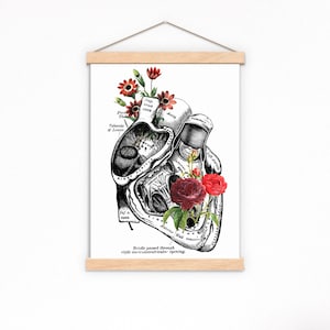 Heart with Roses Art Wall art print Anatomy Illustration Love Wall Art Anatomical Heart SKA080 image 5