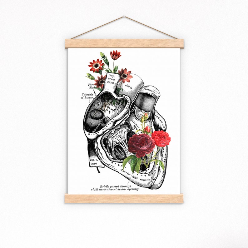 Heart with Roses Art Wall art print Anatomy Illustration Love Wall Art Anatomical Heart SKA080 image 5