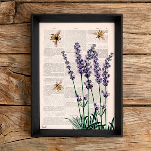 Lavender wall art Bees with Lavender Bees and flowers Wall Art Poster Save the Bees Art Print Flowers BFL11 image 3