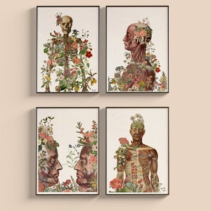 Art Prints  - Anatomy wall art - Anatomical Art - Sustainable art - Midwife Gift - Body Positivity gift - Scientist gift - SET027