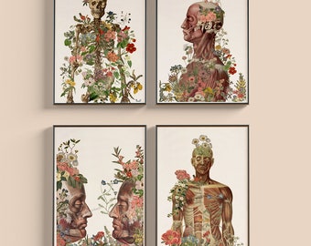 Art Prints  - Anatomy wall art - Anatomical Art - Sustainable art - Midwife Gift - Body Positivity gift - Scientist gift - SET027