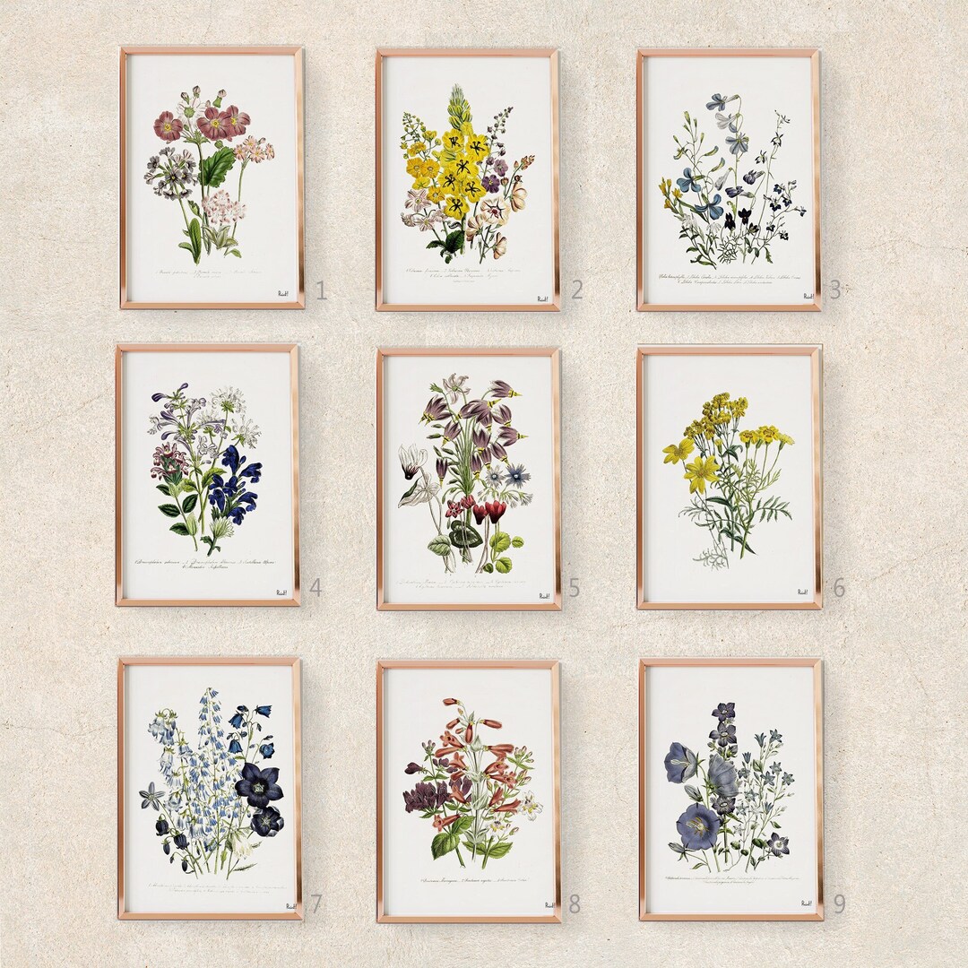 Vintage Wildflower Botanical Print Set | Farmhouse Gallery Wall Decor ...