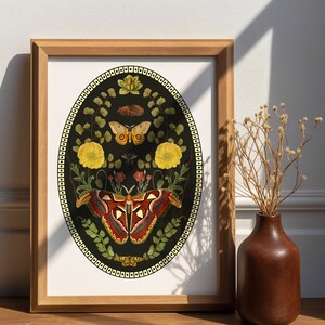 Moths and Nature, Art deco , magic art print, boho Aesthetic, Butterfly art print, Cottagecore Nature print, moths giclee