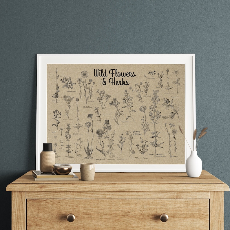 May include: A black and white illustration of wild flowers and herbs on a brown paper background. The title of the illustration is "Wild Flowers & Herbs".