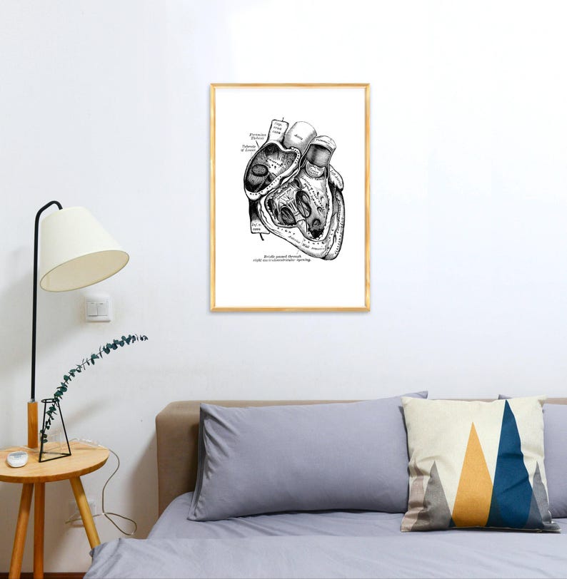 Wall art print, Human Anatomy Heart in black, Anatomical heart wall art, Doctor office gift, SKA039