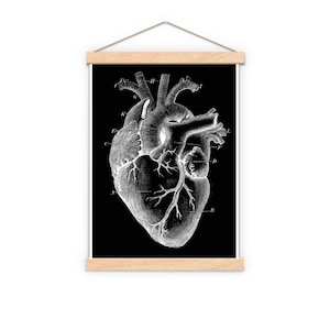 Wall art Human heart, anatomy art, wall art, Home gifts, Anatomical Heart, Gift for him, Doctor gift, SKA124WA3
