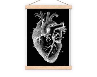 Valentine Wall ArtAnatomical Heart Art Print: Human Anatomy Poster, Doctor Gift