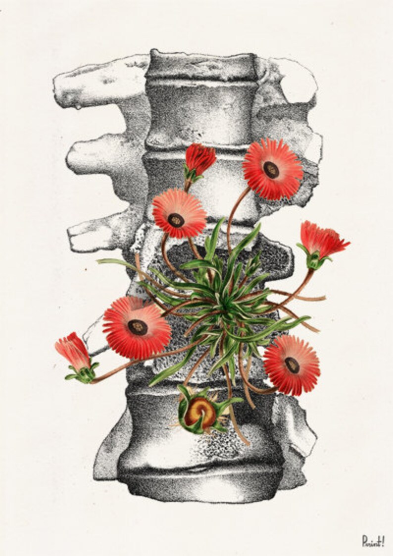 Human anatomy vertebrae with wild flowers Anatomy art | Etsy