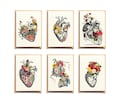 Anatomical Heart Notecards: Floral Greeting Card Set product logo