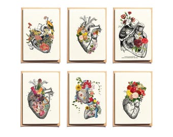 Anatomical Heart Notecards: Floral Greeting Card Set