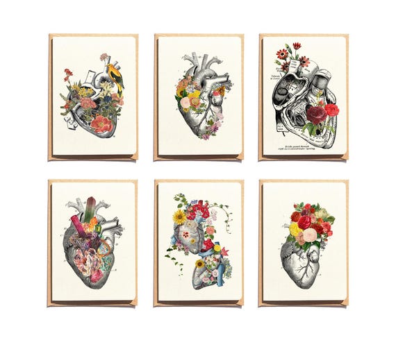 Anatomical Heart Notecards: Floral Greeting Card Set