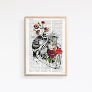 Heart with Roses Art Wall art print Anatomy Illustration Love Wall Art Anatomical Heart SKA080 Book Page M 6.4x9.6 inches