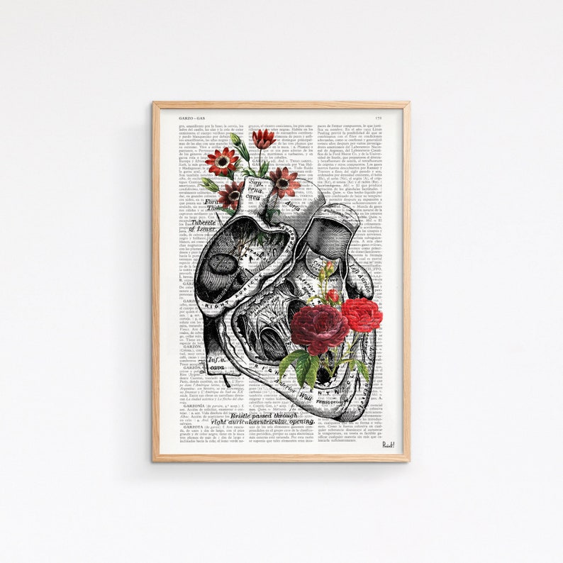 Heart with Roses Art Wall art print Anatomy Illustration Love Wall Art Anatomical Heart SKA080 Book Page M 6.4x9.6 inches