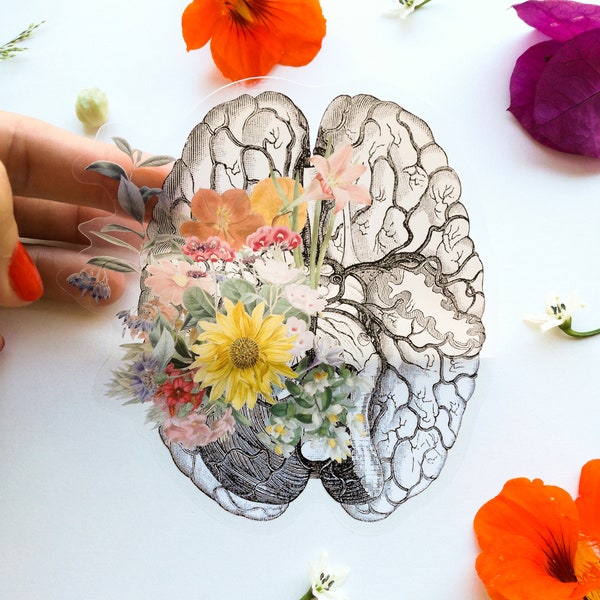 Gehirn-Aufkleber – Blumen-Gehirn-Aufkleber – Gehirn-Aufkleber – Laptop-Aufkleber – klarer Aufkleber – STC028
