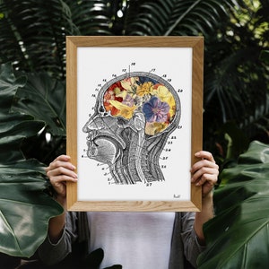 Unique wall Art Flowery Brain Anatomy Art Wall Art print Medical Art Anatomical Art Home decor Art SKA053 image 4