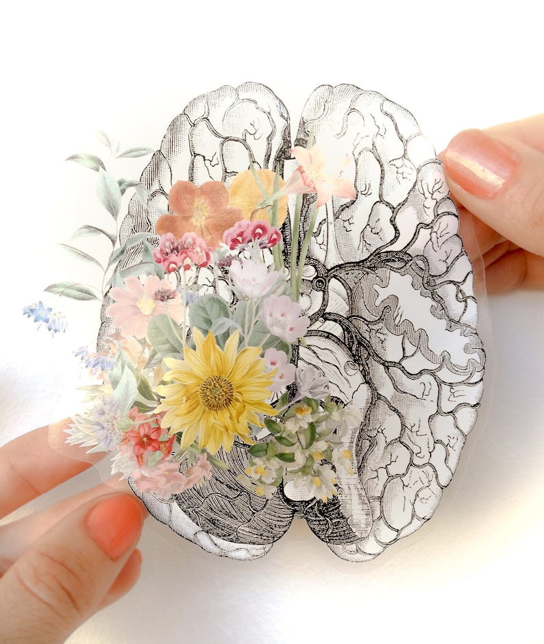 Brain Stickers Flower Brain Sticker Brain Decal Laptop Sticker Clear sticker STC028 image 9