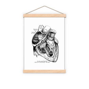 Wall art print, Human Anatomy Heart in black, Anatomical heart wall art, Doctor office gift, SKA039