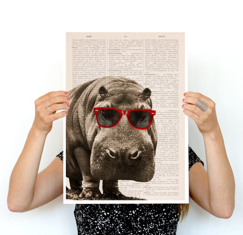 Cool Hippo poster Funny animal art Wall art Wall decor Etsy