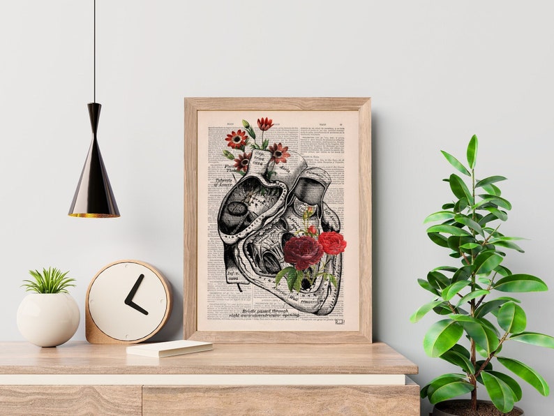 Heart with Roses Art Wall art print Anatomy Illustration Love Wall Art Anatomical Heart SKA080 Book Page L 8.1x12 inches