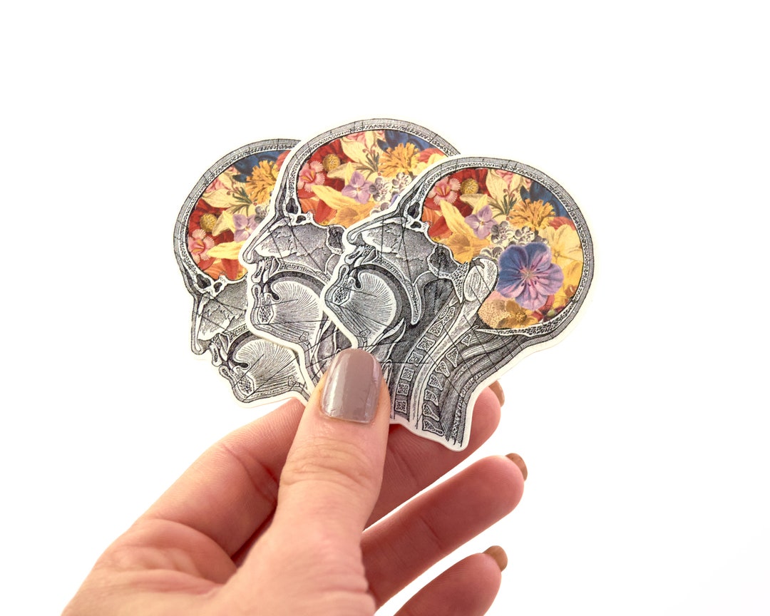 Flowery Brain Sticker Pack: Anatomy Stickers, PVC Die Cut Stickers - Etsy