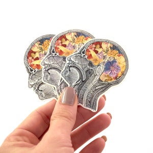 Stickers laptop, stickers pack - Die cut Stickers for Hydroflask - Flowery Brain Sticker - gift under 10 - Gift for doctor - STC009