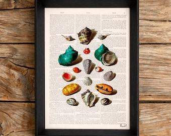 Sea Shells Print on Vintage Dictionary Book Page perfect for gifts  SEA027