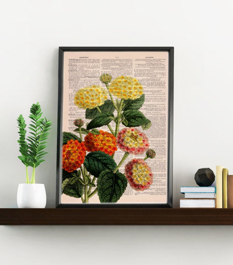 May include: A vintage botanical illustration of a cluster of yellow, orange, and pink flowers with green leaves on a cream background. The image is printed on a page from an old book.