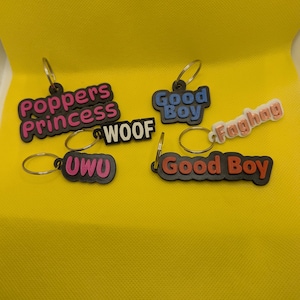 Op de afbeelding: Sleutelhangers met verschillende zinnen, waaronder "Poppers Princess", "WOOF", "UWU", "Good Boy" en "Fagbag". Elke sleutelhanger heeft een metalen ring en een kleurrijk, verhoogd ontwerp. De achtergrond is effen geel.