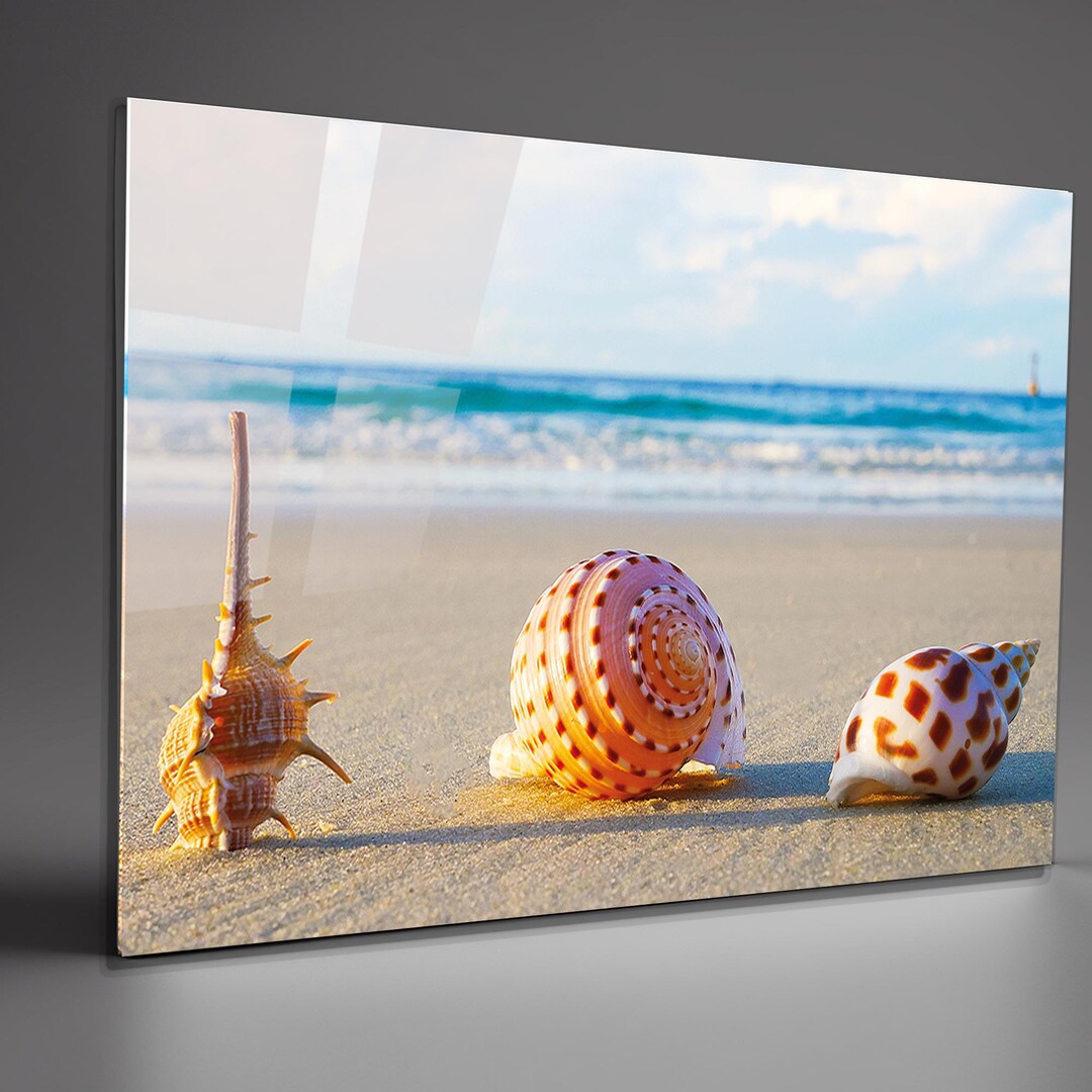 Seashell Tempered Glass Wall Art – Coastal Beach Home Decor - Etsy