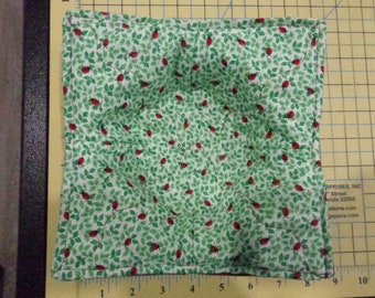 Little Lady Bugs and Green Leaves - Quilted Microwave Bowl Cozy