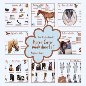 Beginner Horse Care Worksheets | Pony Club Learning, Equine Education (Digital Download)