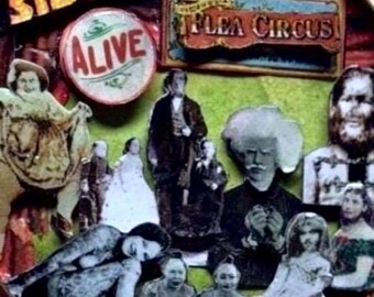 Arte compacto de rarezas de espectáculo de fenómenos en técnica mixta 3D - Pequeño carnaval de bolsillo
