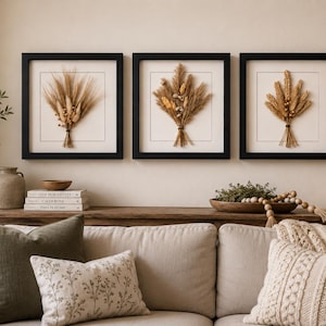 May include: Three square black frames containing dried wheat and grass arrangements on white backgrounds. Each frame displays a unique bundle of tan and golden dried botanical elements tied with string, mounted centrally behind glass on a wall.