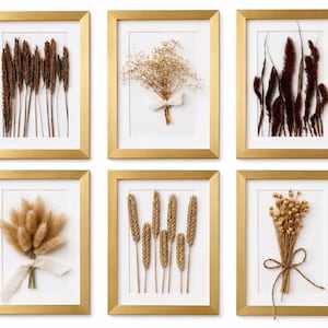 May include: A set of six rectangular wall frames with metallic gold borders, each containing a white mat and a unique arrangement of dried botanical specimens, including wheat stalks, fluffy grasses, and small dried flowers tied with ribbons.