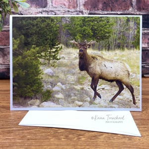 May include: A greeting card featuring a photograph of a majestic elk in a natural setting. The elk, with its impressive antlers, stands in a field with trees in the background. The card is white, with the photographer's name printed on the bottom.