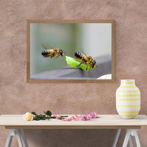 Working Bees Wildlife Digital Print
