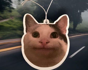 May include: Air freshener shaped like a cat's face with a neutral expression. The cat has black and white markings and large, round eyes. A string is attached for hanging. The background shows a blurred road and trees.